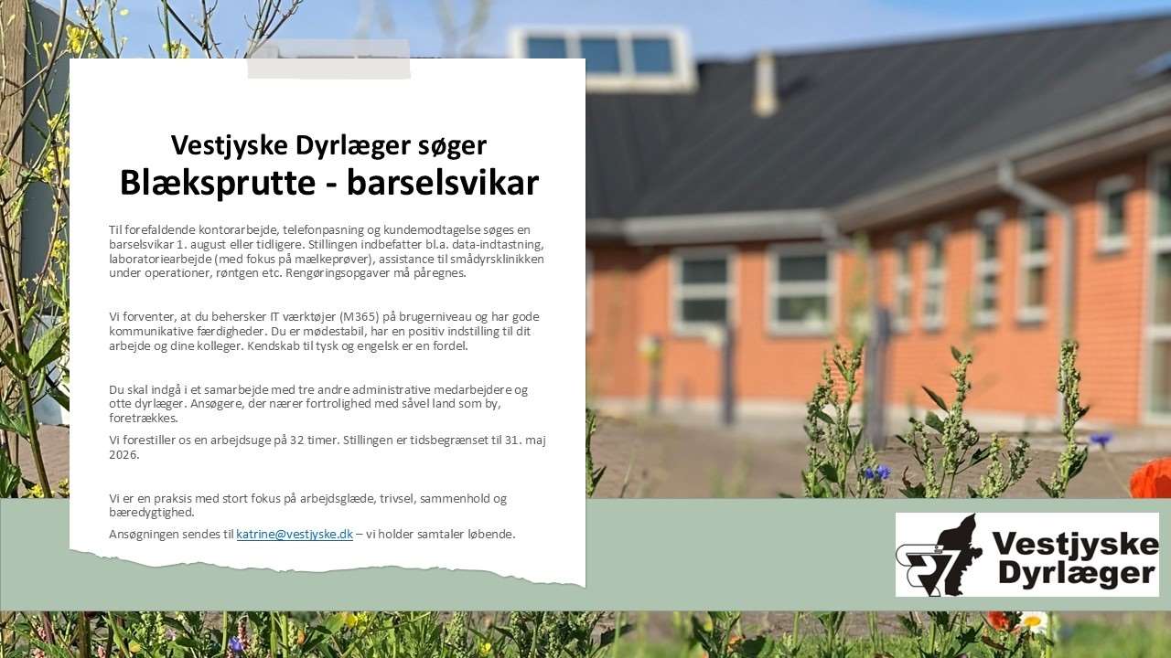 barselsvikar maj 2025